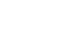 ViniCarrer.it